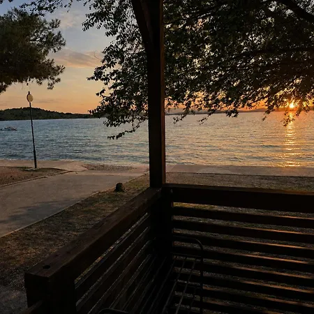 Calypso Vodice